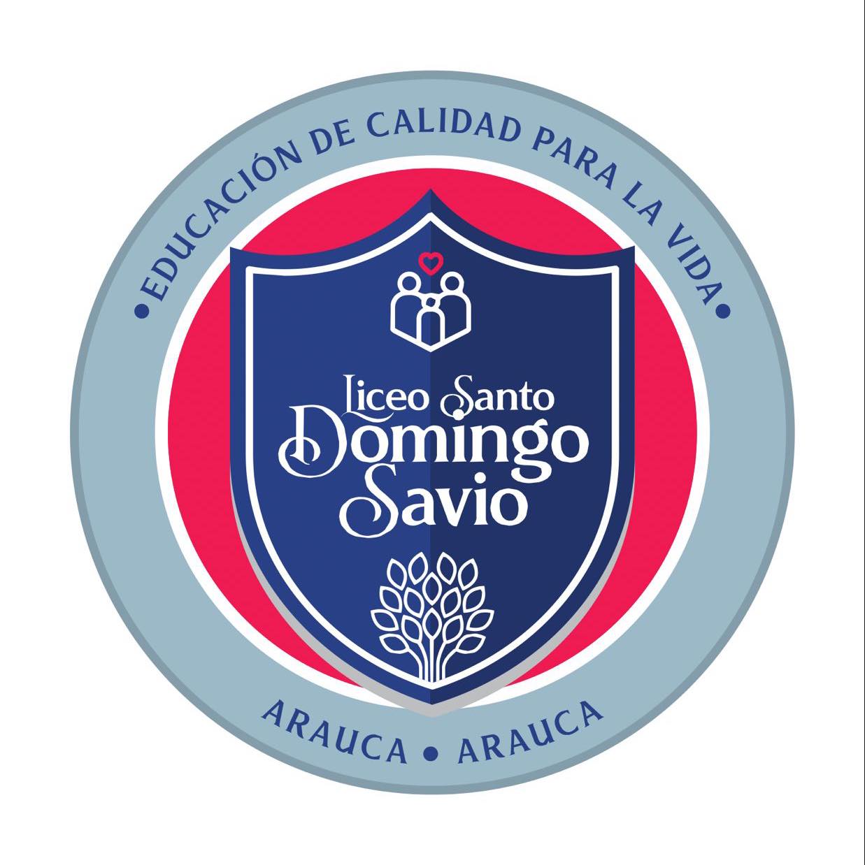 Liceo Santo Domingo Savio Arauca
